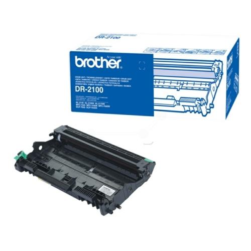 Brother Rumpu (DR2100 /)